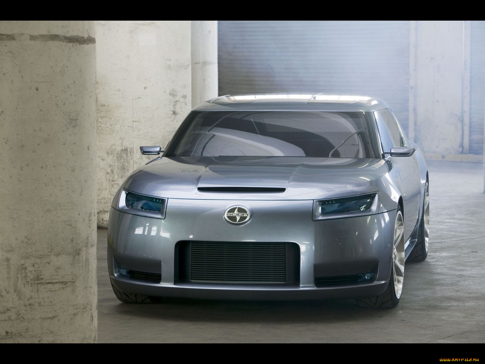 , scion